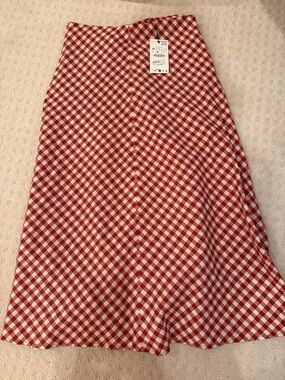 NWT ZARA gingham maxi skirt